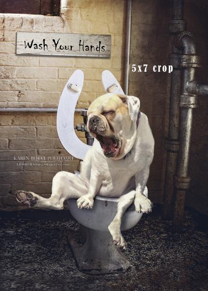 Wash Your Hands picture