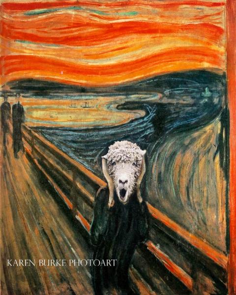 The Scream picture