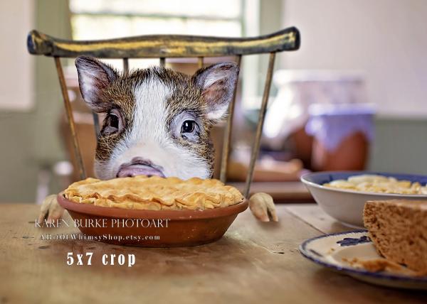 Piggy Eats Pie picture