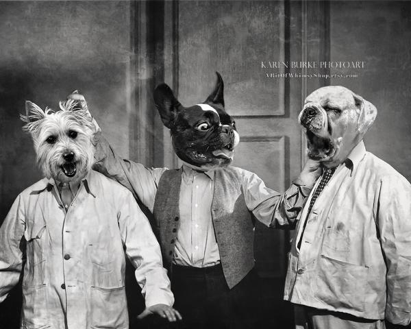 Three Stooges Dogs picture