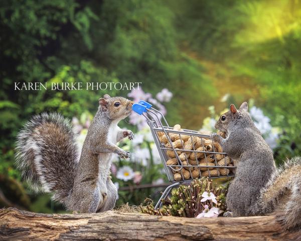 Grocery Shopping Squirrels picture