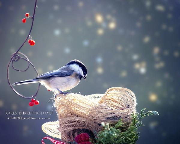 Chickadee Red Berries Winter Bokeh picture