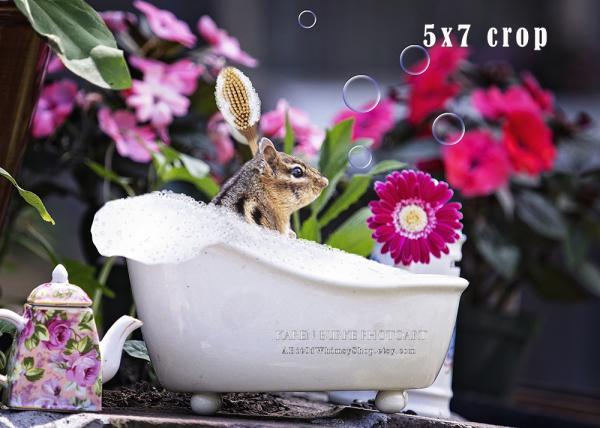 Chipmunk Bubble Bath picture