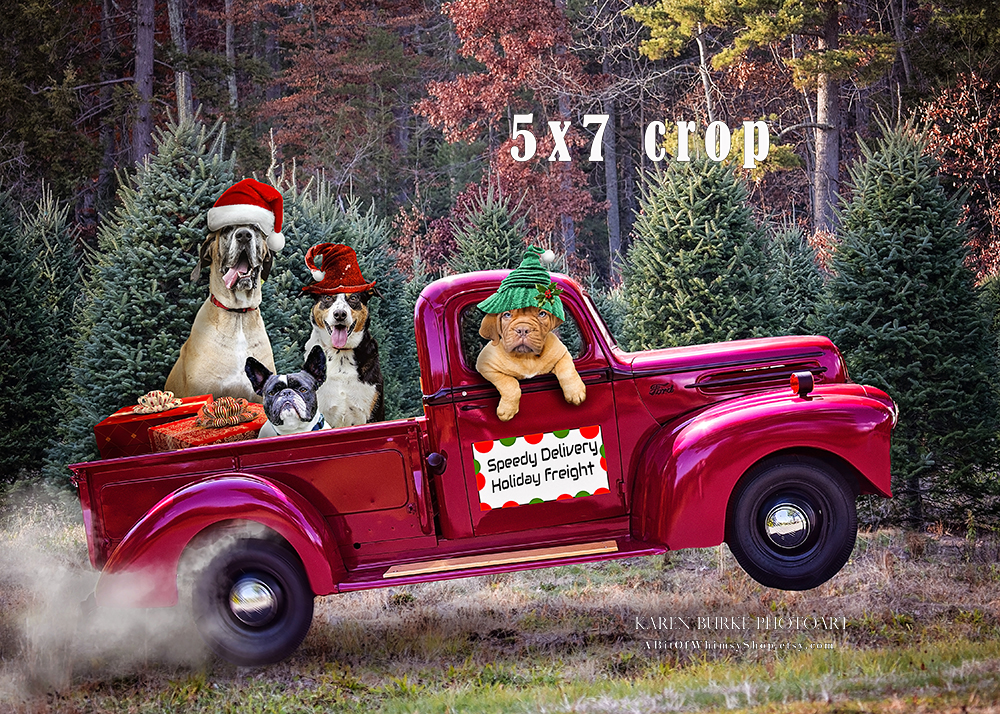 Christmas Deliveries picture