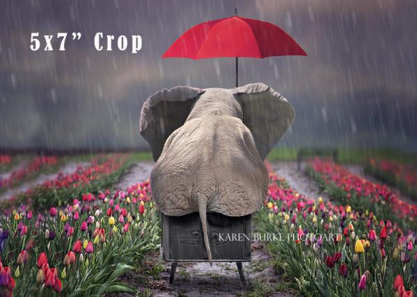 Rainy Day Tulips Elephant picture