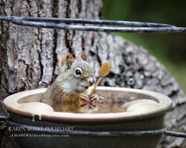 Bubble Bath Baby Squirrel picture