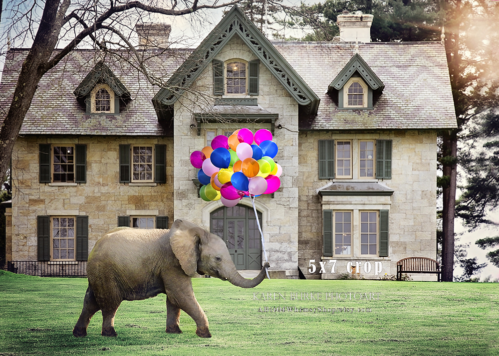 Party Balloons picture