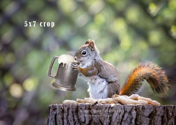 Beer and Peanuts picture