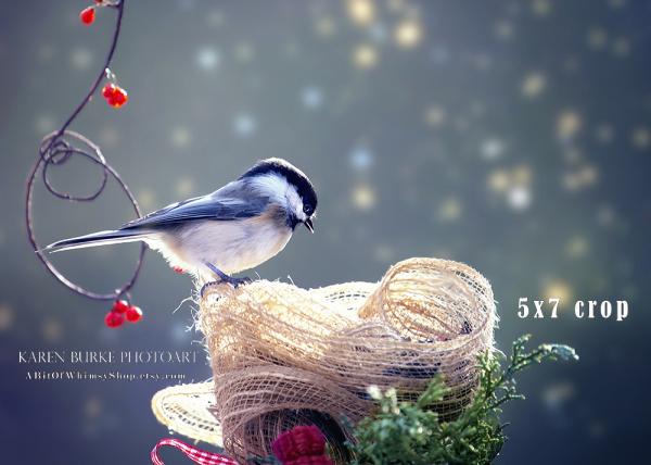 Chickadee Red Berries Winter Bokeh picture