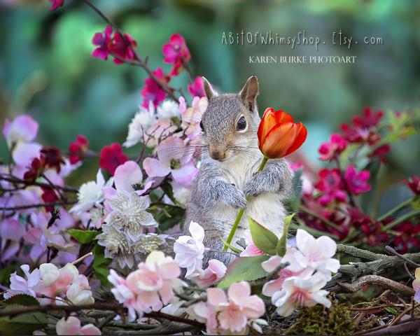 Baby Squirrel in the Flowers
