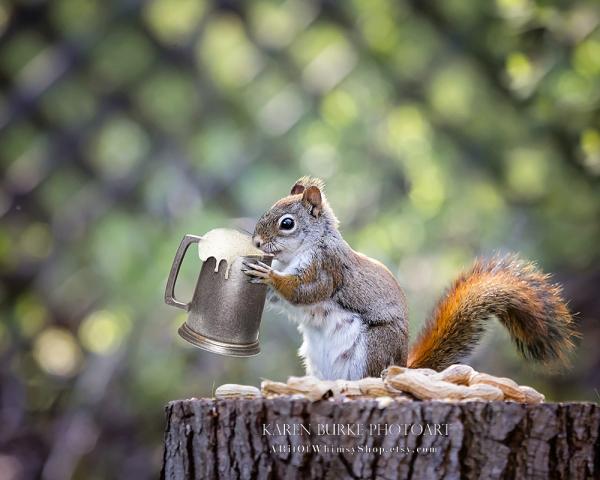 Beer and Peanuts picture