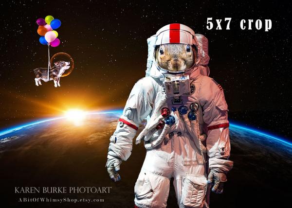 Astronaut Squirrel picture