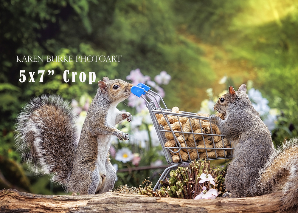 Grocery Shopping Squirrels picture