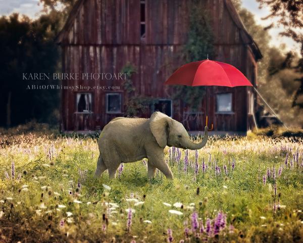 Country Stroll Elephant picture