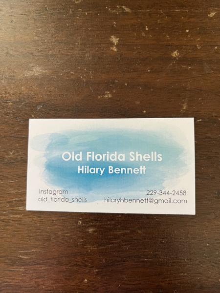 Old Florida Shells