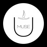 MUSE Candles + Home Fragrances