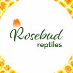 Rosebud Reptiles