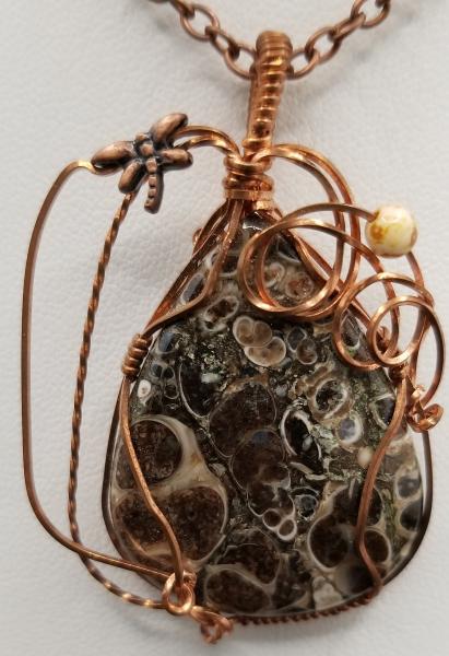 Turritella Agate  wrapped pendant picture