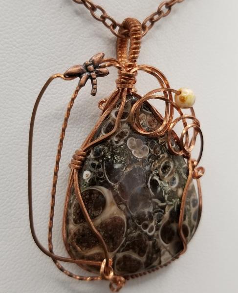 Turritella Agate  wrapped pendant picture