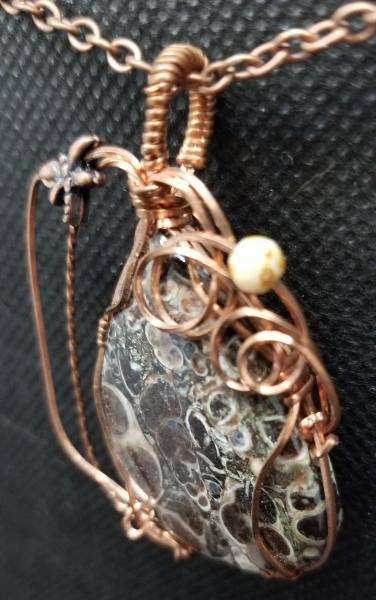 Turritella Agate  wrapped pendant picture