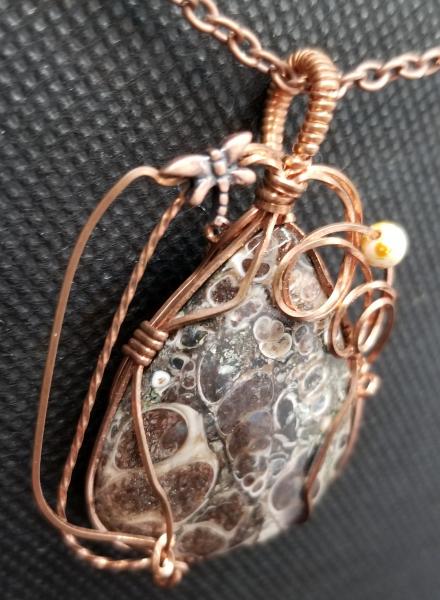 Turritella Agate  wrapped pendant picture