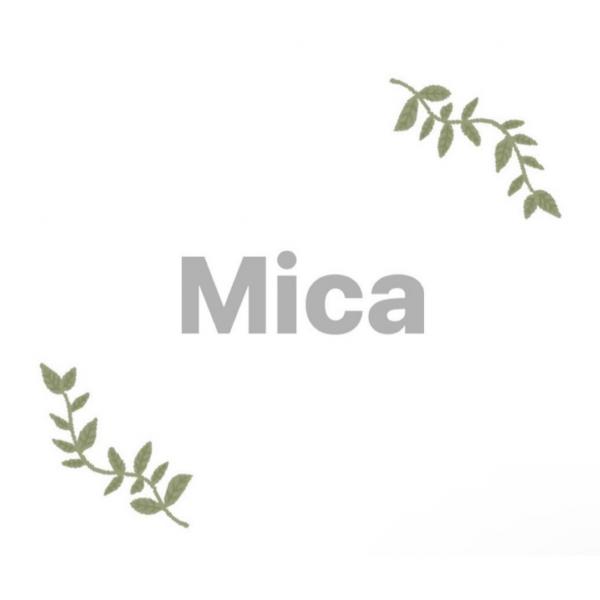 Mica Designs
