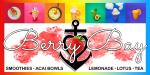 Berry Bay LLC