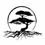 Cypress Roots Craft Herbalism