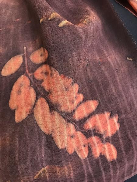 Brown Chiffon Silk Scarf with Woodland Branches snd Scattered Sumac Berries picture