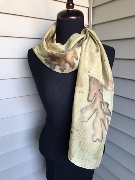 Charter Oak Silk Scarf with varying types of Oak picture