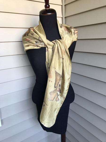 Charter Oak Silk Scarf with varying types of Oak picture