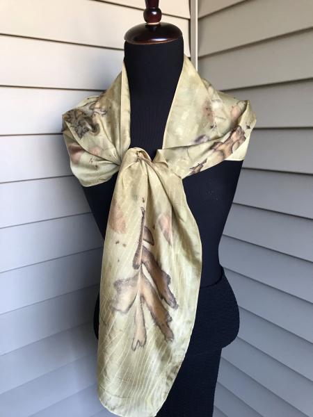 Charter Oak Silk Scarf with varying types of Oak
