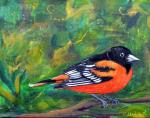 Oriole