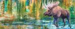 Moose Painting