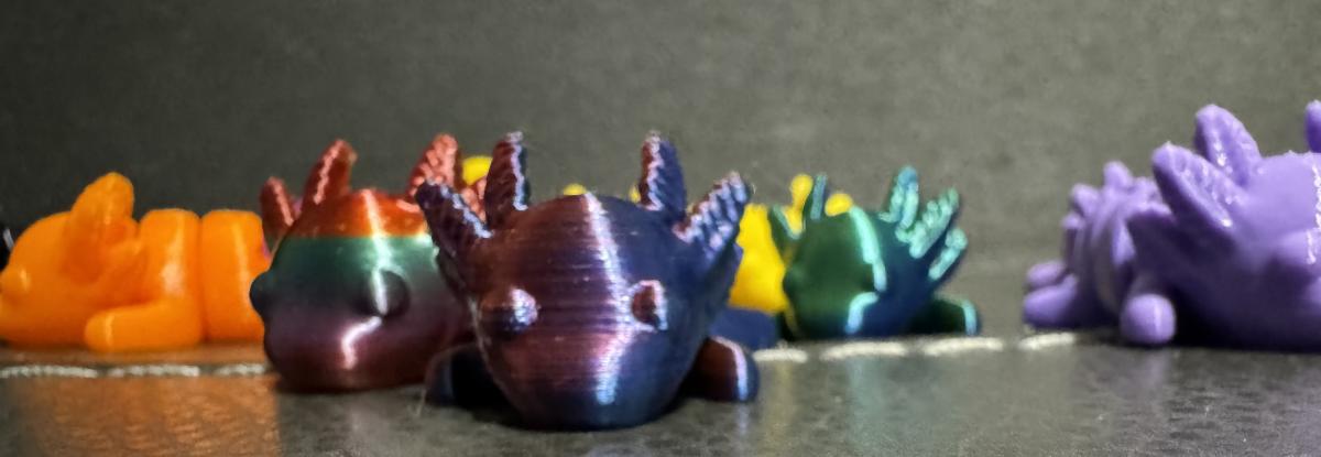 Baby Fidget Axolotl picture