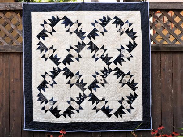 Blue and White Lap Quilt picture