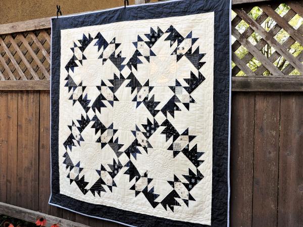 Blue and White Lap Quilt picture