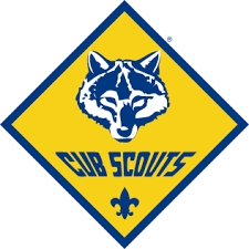 Scout Pack 501