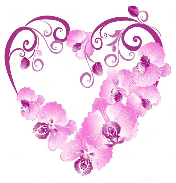 Orchid Mist Dimensions