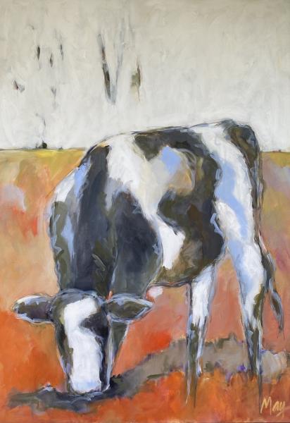 Cow 17-127