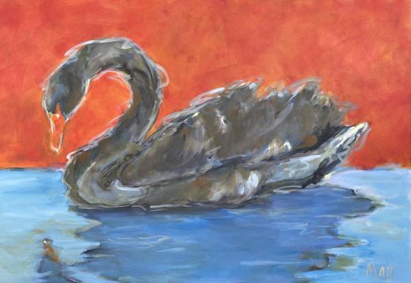 Black Swan 21-118