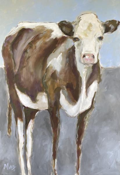 Cow 21-115 picture