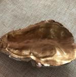 Oyster Trinket Dish - Gold Metallic