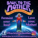 Back to the Mother Ferments