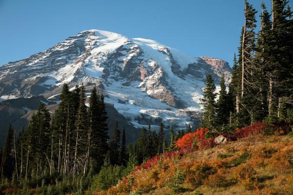 Mount Rainier Spring picture