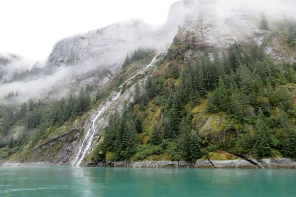 Endicott Arm Fjord Falls, Alaska 16x20 Canvas picture