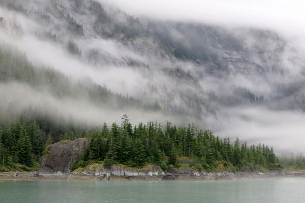 Endicott Arm Fjord - island - Alaska picture