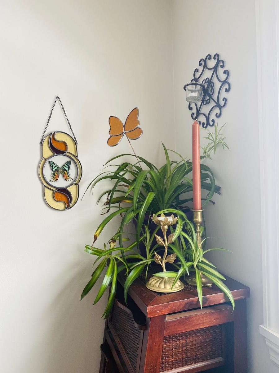 "The Sixth Day" feat. REAL Madagascar Sunset Moth picture