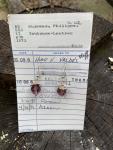 Purple Glass Earrings