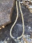 Citrine Necklace